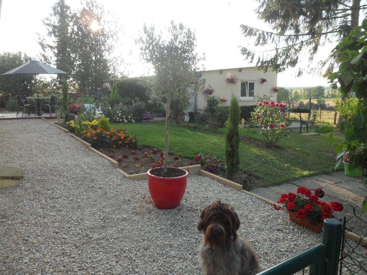 Ferienwohnung O Bout D'La Motte Voillecomte Exterior foto